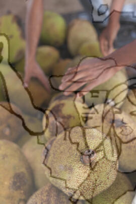 [Título n/d] : lote nº 002, pasta nº 000076, doc. nº 000022 [imagem] / Fotógrafo(a) : [autoria n/d].