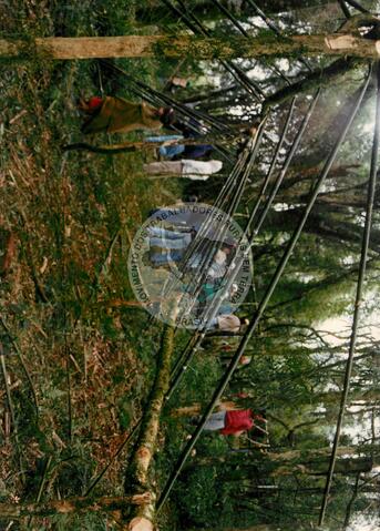 Original Document numérique not accessible