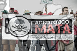 [Título n/d] : lote nº 002, pasta nº 000076, doc. nº 000134 [imagem] / Fotógrafo(a) : [autoria n/d].