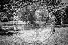 [Título n/d] : lote nº 002, pasta nº 000092, doc. nº 000072 [imagem] / Fotógrafo(a) : [autoria n/d].