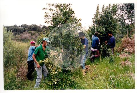 Original Document numérique not accessible