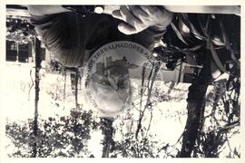 Leandro Konder (Brasil, [sem data]) [fotografia] / Fotógrafo(a) : Arquivo MST ; Paulo Lima ; Luciney Martins. -- Ref.: BR-SPMST_MST-SN-CIN_AMP_001610-012221-PER.