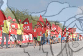 [Título n/d] : lote nº 002, pasta nº 000074, doc. nº 000250 [imagem] / Fotógrafo(a) : [autoria n/d].