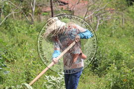 [Título n/d] : lote nº 002, pasta nº 000014, doc. nº 000217 [imagem] / Fotógrafo(a) : [autoria n/d].