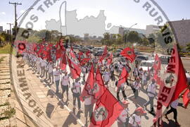 [Título n/d] : lote nº 002, pasta nº 000044, doc. nº 000562 [imagem] / Fotógrafo(a) : [autoria n/d].