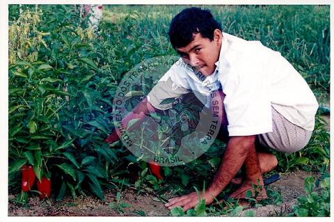 Original Document numérique not accessible