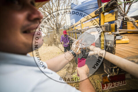 Original Objeto digital not accessible