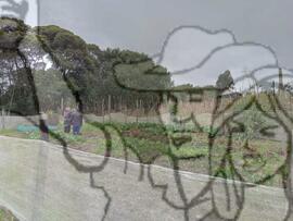 [Título n/d] : lote nº 002, pasta nº 000033, doc. nº 000027 [imagem] / Fotógrafo(a) : [autoria n/d].