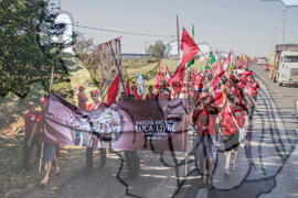 [Título n/d] : lote nº 002, pasta nº 000122, doc. nº 000020 [imagem] / Fotógrafo(a) : [autoria n/d].