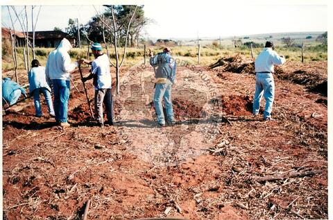 Original Document numérique not accessible