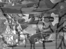 [Título n/d] : lote nº 002, pasta nº 000043, doc. nº 000174 [imagem] / Fotógrafo(a) : [autoria n/d].