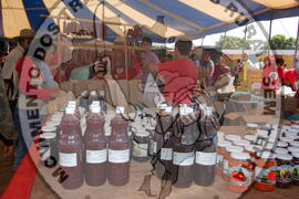 [Título n/d] : lote nº 002, pasta nº 000049, doc. nº 000006 [imagem] / Fotógrafo(a) : [autoria n/d].