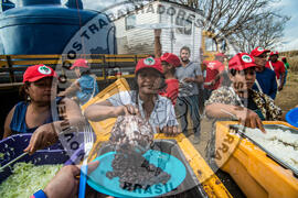 [Título n/d] : lote nº 002, pasta nº 000112, doc. nº 000039 [imagem] / Fotógrafo(a) : [autoria n/d].