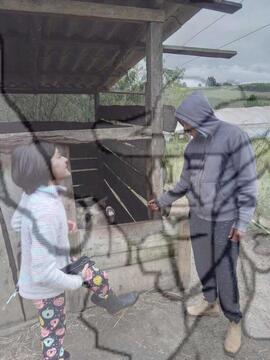 [Título n/d] : lote nº 002, pasta nº 000033, doc. nº 000052 [imagem] / Fotógrafo(a) : [autoria n/d].