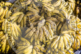 [Título n/d] : lote nº 002, pasta nº 000081, doc. nº 000013 [imagem] / Fotógrafo(a) : [autoria n/d].