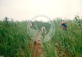 Acampamento " Nova Canudos- Fazenda Engenheiro D'Agua" do MST (Porto Feliz-SP, fev. 1999) [fotografia] / Fotógrafo(a) : Douglas Mansur. -- Ref.: BR-SPMST_MST-SN-CIN_AMP_000046-000286-ACP.