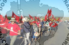 [Título n/d] : lote nº 002, pasta nº 000045, doc. nº 000339 [imagem] / Fotógrafo(a) : [autoria n/d].