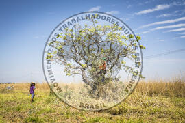 [Título n/d] : lote nº 002, pasta nº 000115, doc. nº 000004 [imagem] / Fotógrafo(a) : [autoria n/d].