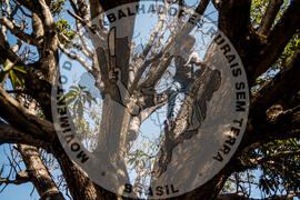 [Título n/d] : lote nº 002, pasta nº 000112, doc. nº 000013 [imagem] / Fotógrafo(a) : [autoria n/d].