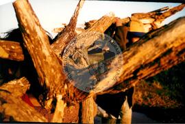 Brasiguais em acampamento do MST (Novo Horizonte de Sul-MS, 1992) [fotografia] / Fotógrafo(a) : Gianne Carvalho. -- Ref.: BR-SPMST_MST-SN-CIN_AMP_000021-000086-ACP.