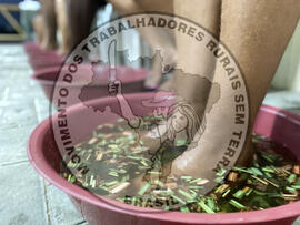 [Título n/d] : lote nº 002, pasta nº 000010, doc. nº 000002 [imagem] / Fotógrafo(a) : [autoria n/d].