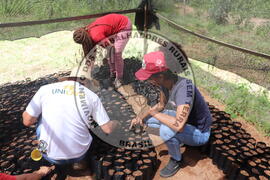 [Título n/d] : lote nº 002, pasta nº 000015, doc. nº 000017 [imagem] / Fotógrafo(a) : [autoria n/d].