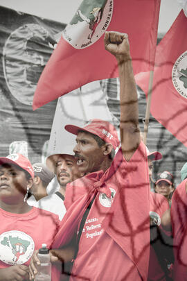 [Título n/d] : lote nº 002, pasta nº 000076, doc. nº 000139 [imagem] / Fotógrafo(a) : [autoria n/d].