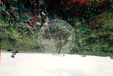 Original Document numérique not accessible