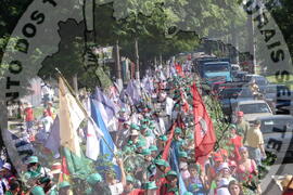 [Título n/d] : lote nº 002, pasta nº 000047, doc. nº 000035 [imagem] / Fotógrafo(a) : [autoria n/d].