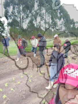 [Título n/d] : lote nº 002, pasta nº 000033, doc. nº 000071 [imagem] / Fotógrafo(a) : [autoria n/d].