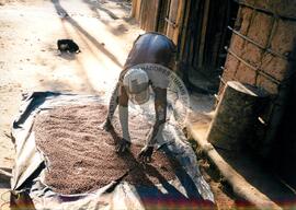 Acampamento "26 de Março" do MST (Pará, [sem data]) [fotografia] / Fotógrafo(a) : Maisa Mendonça. -- Ref.: BR-SPMST_MST-SN-CIN_AMP_000032-000115-ACP.