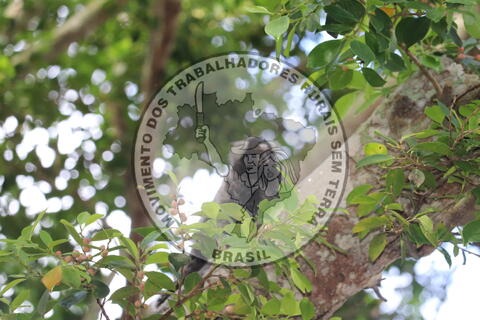 Original Objeto digital not accessible