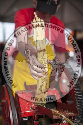 [Título n/d] : lote nº 002, pasta nº 000076, doc. nº 000316 [imagem] / Fotógrafo(a) : [autoria n/d].