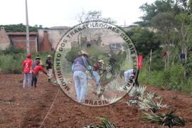 [Título n/d] : lote nº 002, pasta nº 000014, doc. nº 000192 [imagem] / Fotógrafo(a) : [autoria n/d].