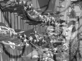 [Título n/d] : lote nº 002, pasta nº 000043, doc. nº 000114 [imagem] / Fotógrafo(a) : [autoria n/d].