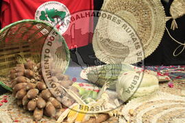 [Título n/d] : lote nº 002, pasta nº 000081, doc. nº 000004 [imagem] / Fotógrafo(a) : [autoria n/d].