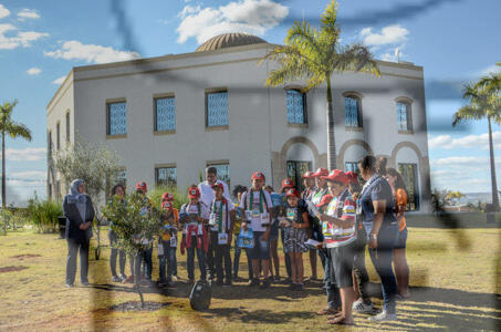 Original Objeto digital not accessible