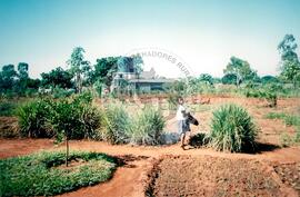 Visita à África - Maguilla (Africa, [sem data]) [fotografia] / Fotógrafo(a) : Arquivo MST. -- Ref.: BR-SPMST_MST-SN-CIN_AMP_001100-009011-RIT.