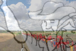 [Título n/d] : lote nº 002, pasta nº 000074, doc. nº 000283 [imagem] / Fotógrafo(a) : [autoria n/d].