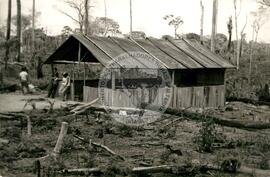 PAD Humaitá (Acre, out. 1983) [fotografia] / Fotógrafo(a) : Flaminio Amanipe. -- Ref.: BR-SPMST_MST-SN-CIN_AMP_000729-004771-CSS.
