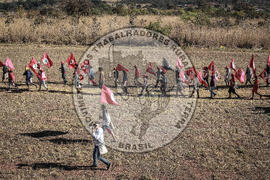 [Título n/d] : lote nº 002, pasta nº 000123, doc. nº 000177 [imagem] / Fotógrafo(a) : [autoria n/d].