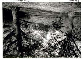 Pequenas propriedades dos EUA (Cortez (EUA), [sem data]) [fotografia] / Fotógrafo(a) : Nancy Dunchutceck. -- Ref.: BR-SPMST_MST-SN-CIN_AMP_001063-008610-RIT.