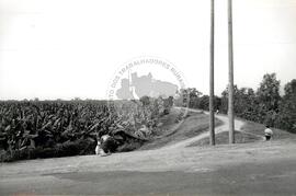 Fazenda Bananeira-Multinacional (Honduras, [sem data]) [fotografia] / Fotógrafo(a) : Arquivo MST. -- Ref.: BR-SPMST_MST-SN-CIN_AMP_001110-009172-RIT.