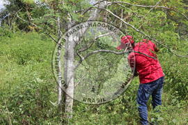 [Título n/d] : lote nº 002, pasta nº 000014, doc. nº 000221 [imagem] / Fotógrafo(a) : [autoria n/d].