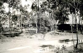Acampamento [sem identificação] (Goiás, [sem data]) [fotografia] / Fotógrafo(a) : Arquivo MST. -- Ref.: BR-SPMST_MST-SN-CIN_AMP_000010-000065-ACP.