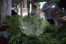 [Título n/d] : lote nº 002, pasta nº 000016, doc. nº 000035 [imagem] / Fotógrafo(a) : [autoria n/d].