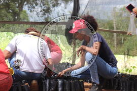 [Título n/d] : lote nº 002, pasta nº 000015, doc. nº 000014 [imagem] / Fotógrafo(a) : [autoria n/d].