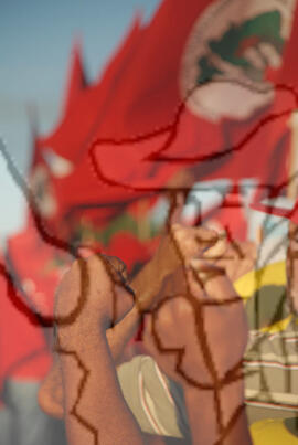 [Título n/d] : lote nº 002, pasta nº 000074, doc. nº 000501 [imagem] / Fotógrafo(a) : [autoria n/d].