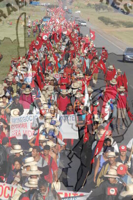 [Título n/d] : lote nº 002, pasta nº 000045, doc. nº 000375 [imagem] / Fotógrafo(a) : [autoria n/d].