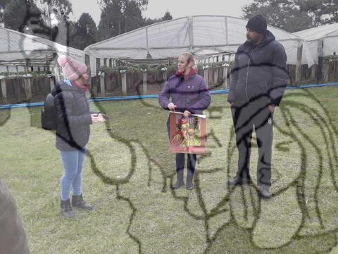 Original Objeto digital not accessible